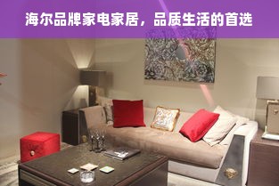 海尔品牌家电家居，品质生活的首选
