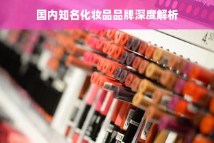 国内知名化妆品品牌深度解析