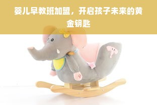高端母婴电商品牌，引领母婴市场新潮流