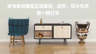 家电收纳橱柜品牌解析，选购、设计与功能一网打尽
