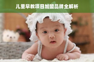 儿童早教项目加盟品牌全解析