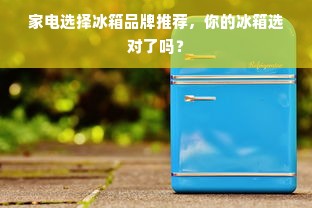 家电选择冰箱品牌推荐，你的冰箱选对了吗？