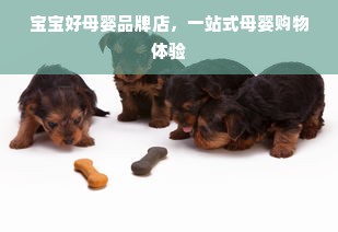 宝宝好母婴品牌店，一站式母婴购物体验