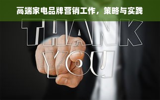 高端家电品牌营销工作，策略与实践