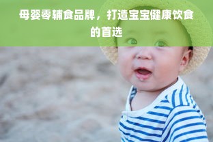 母婴零辅食品牌，打造宝宝健康饮食的首选
