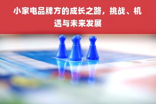 小家电品牌方的成长之路，挑战、机遇与未来发展