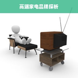 高端家电品牌探析