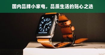 国内品牌小家电，品质生活的贴心之选