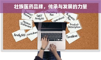 壮族医药品牌，传承与发展的力量