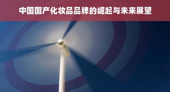中国国产化妆品品牌的崛起与未来展望