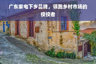 广东家电下乡品牌，领跑乡村市场的佼佼者