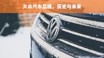 大众汽车品牌，历史与未来