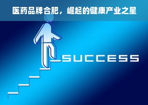 医药品牌合肥，崛起的健康产业之星