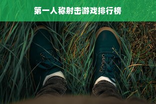 第一人称射击游戏排行榜