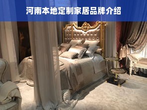 河南本地定制家居品牌介绍