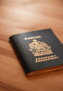 申请加入医药品牌行列——我的探索之旅