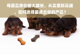 母婴品牌价格大解析，从实惠到高端，如何选择最适合你的产品？