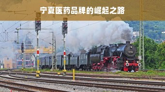 宁夏医药品牌的崛起之路