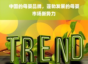 中国的母婴品牌，蓬勃发展的母婴市场新势力
