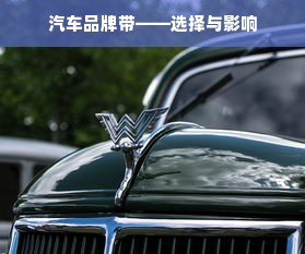 汽车品牌带——选择与影响