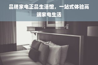 品牌家电正品生活馆，一站式体验高端家电生活