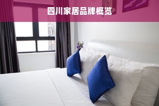 四川家居品牌概览