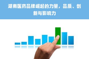 湖南医药品牌崛起的力量，品质、创新与影响力