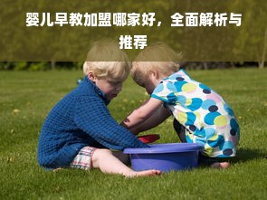 婴儿早教加盟哪家好，全面解析与推荐