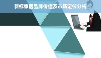 新标家居品牌价值及市场定位分析