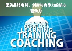 医药品牌专利，创新与竞争力的核心驱动力