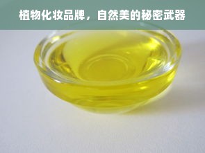 京东白条收款商家提现额度详解