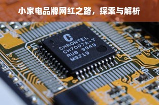 小家电品牌网红之路，探索与解析