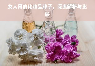 女人用的化妆品牌子，深度解析与比较
