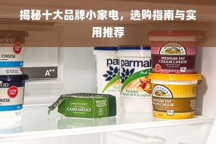 揭秘十大品牌小家电，选购指南与实用推荐