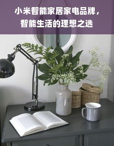 小米智能家居家电品牌，智能生活的理想之选