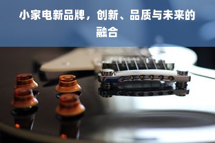 小家电新品牌，创新、品质与未来的融合