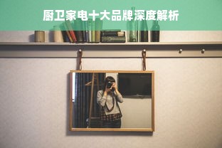 厨卫家电十大品牌深度解析