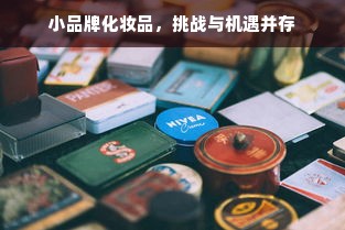 小品牌化妆品，挑战与机遇并存