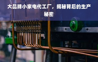 大品牌小家电代工厂，揭秘背后的生产秘密