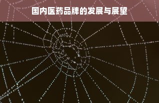 国内医药品牌的发展与展望