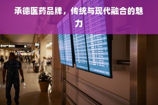 承德医药品牌，传统与现代融合的魅力