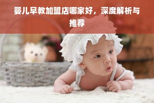 婴儿早教加盟店哪家好，深度解析与推荐