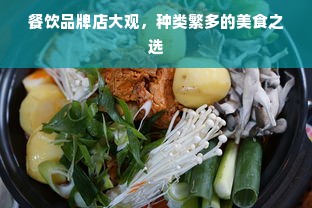 餐饮品牌店大观，种类繁多的美食之选