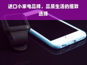 进口小家电品牌，品质生活的细致选择
