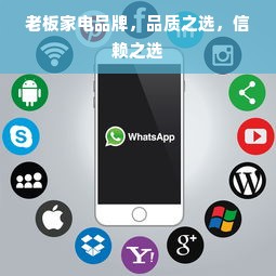 揭秘京东白条收款免费提现额度，一文读懂所有细节！