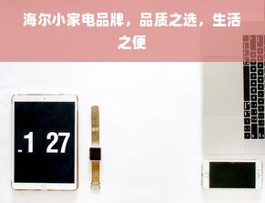 海尔小家电品牌，品质之选，生活之便
