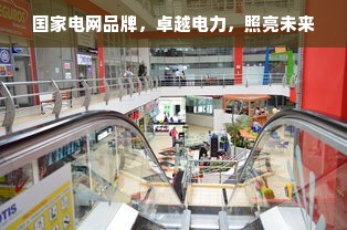 国家电网品牌，卓越电力，照亮未来