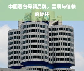 中国著名母婴品牌，品质与信赖的标杆