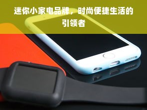 迷你小家电品牌，时尚便捷生活的引领者