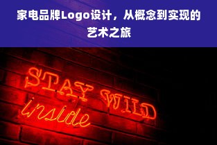 家电品牌Logo设计，从概念到实现的艺术之旅